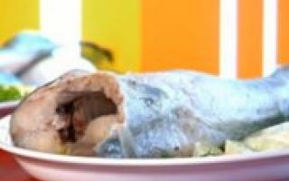 Рыбный суп из хека Уха из хека: рецепт базовый